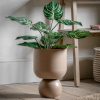 Scandi Planter UK