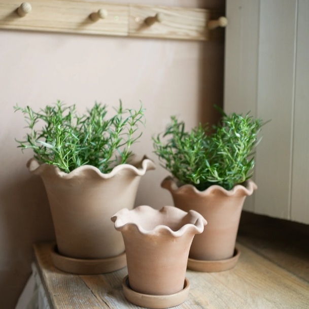 Terracotta Planters UK